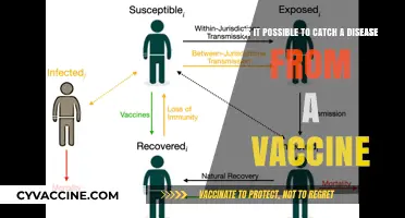 Can Vaccines Transmit Diseases? Debunking Myths and Understanding Risks
