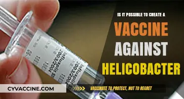 Can We Develop a Vaccine Against Helicobacter Infections?
