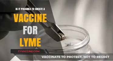 Can We Develop a Lyme Disease Vaccine? Exploring the Possibilities