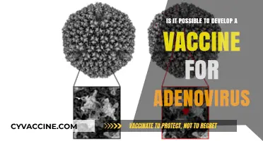 Can We Develop a Vaccine for Adenovirus? Exploring the Possibilities