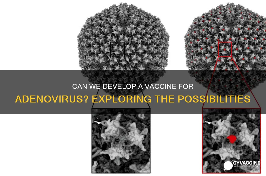 is it possible to develop a vaccine for adenovirus