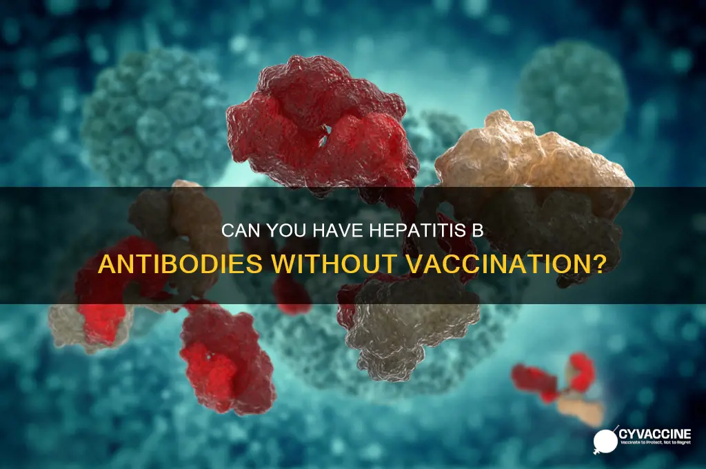 is it possible to have hep b antibody without vaccine