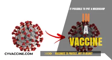 Microchips in Vaccines: Separating Fact from Fiction and Conspiracy