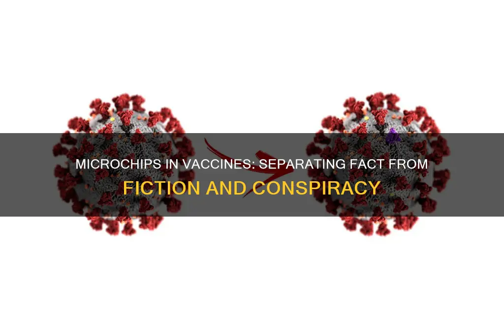 is it possible to put a microchip in a vaccine