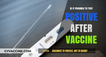 Can You Test Positive After COVID-19 Vaccination? Facts Explained