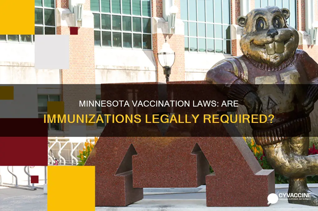 is it the law in minnesota to vaccinate