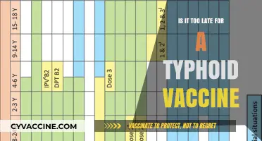 Is It Too Late for a Typhoid Vaccine? Expert Advice