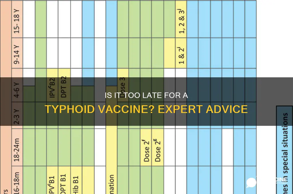 is it too late for a typhoid vaccine