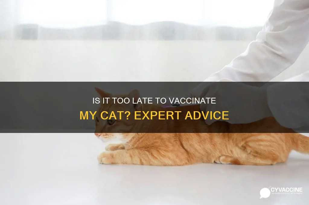 is it too late to vaccinate my cat