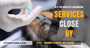 Top-Rated Pet Vaccination Services Near You: A Comprehensive Guide