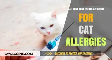 Can a Vaccine Cure Cat Allergies? Exploring the Science Behind It