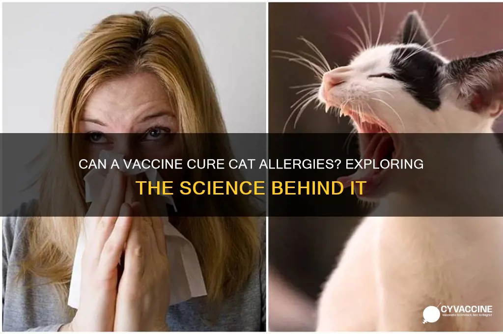 is it true that theres a vaccine for cat allergies