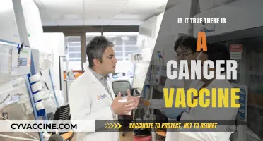Cancer Vaccine: Fact or Fiction? Exploring the Latest Scientific Advances