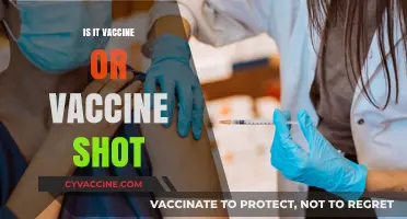 Understanding Vaccines: The Difference Between a Vaccine and a Vaccine Shot