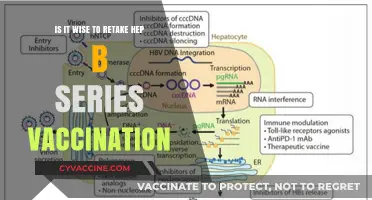 Retaking Hepatitis B Vaccination: Is It Necessary or Overkill?
