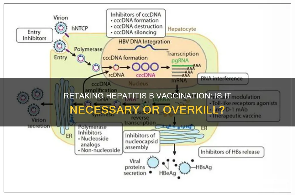 is it wise to retake hep b series vaccination
