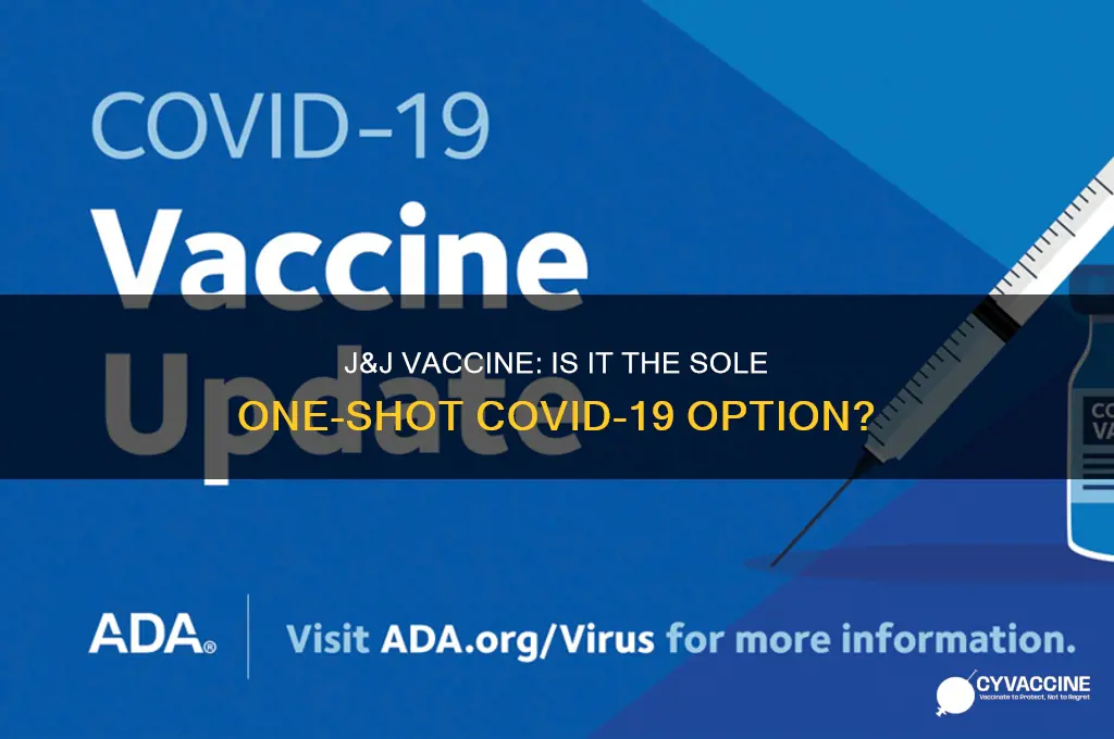 is j&j the only one shot vaccine