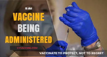 J&J Vaccine Rollout: Current Administration Status and Updates