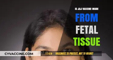 J&J Vaccine and Fetal Tissue: Separating Fact from Fiction
