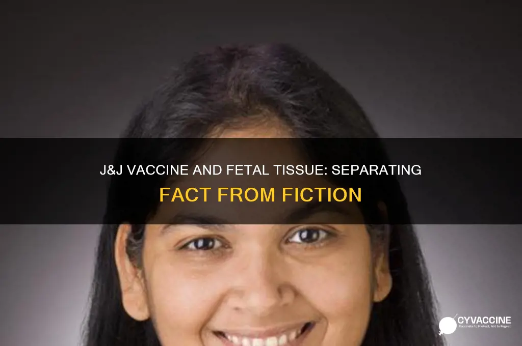 is j&j vaccine made from fetal tissue