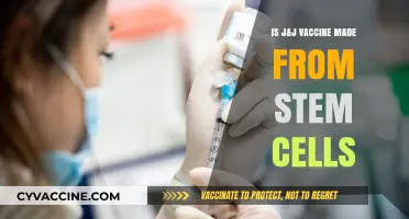 J&J Vaccine and Stem Cells: Separating Fact from Fiction