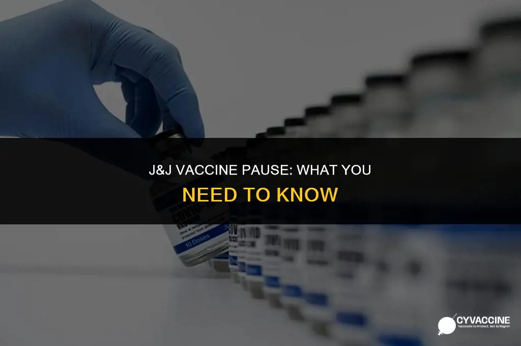 is j&j vaccine on hold