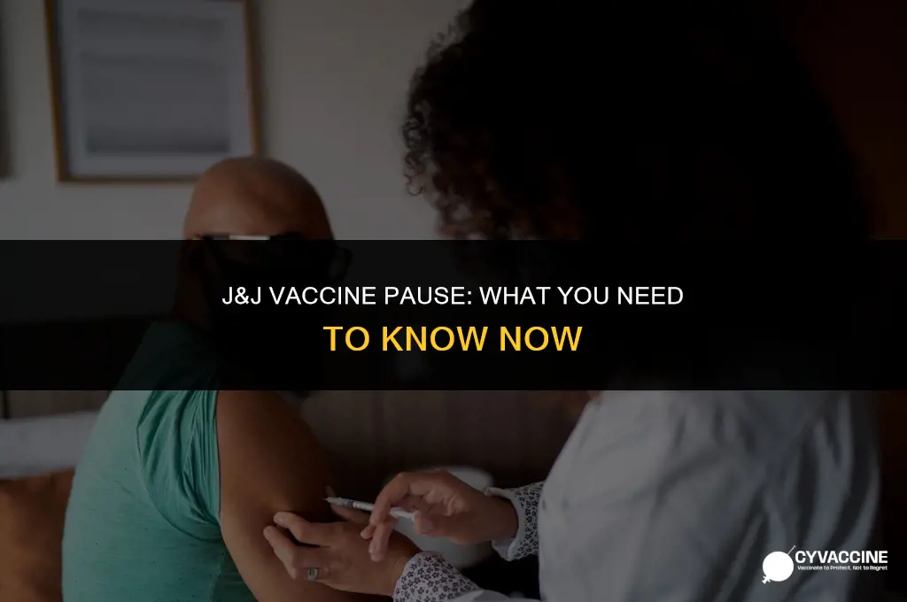 is j and j vaccine paused
