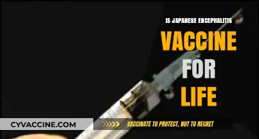 Lifelong Immunity: The Truth About Japanese Encephalitis Vaccine