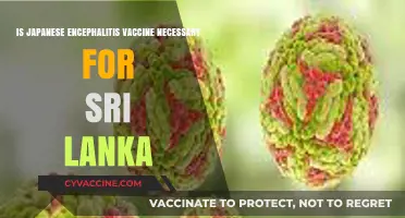 Is Japanese Encephalitis Vaccine Essential for Sri Lanka Travelers?