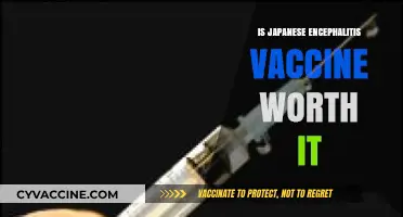Evaluating the Benefits of Japanese Encephalitis Vaccination