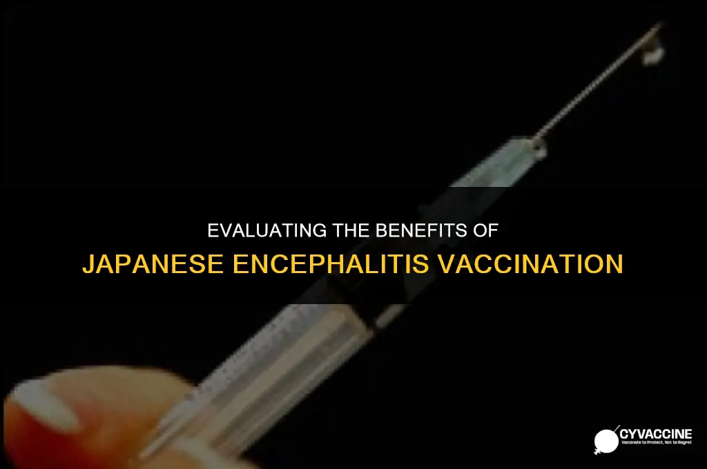 is japanese encephalitis vaccine worth it