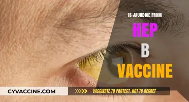 Exploring the Link: Jaundice and Hepatitis B Vaccination