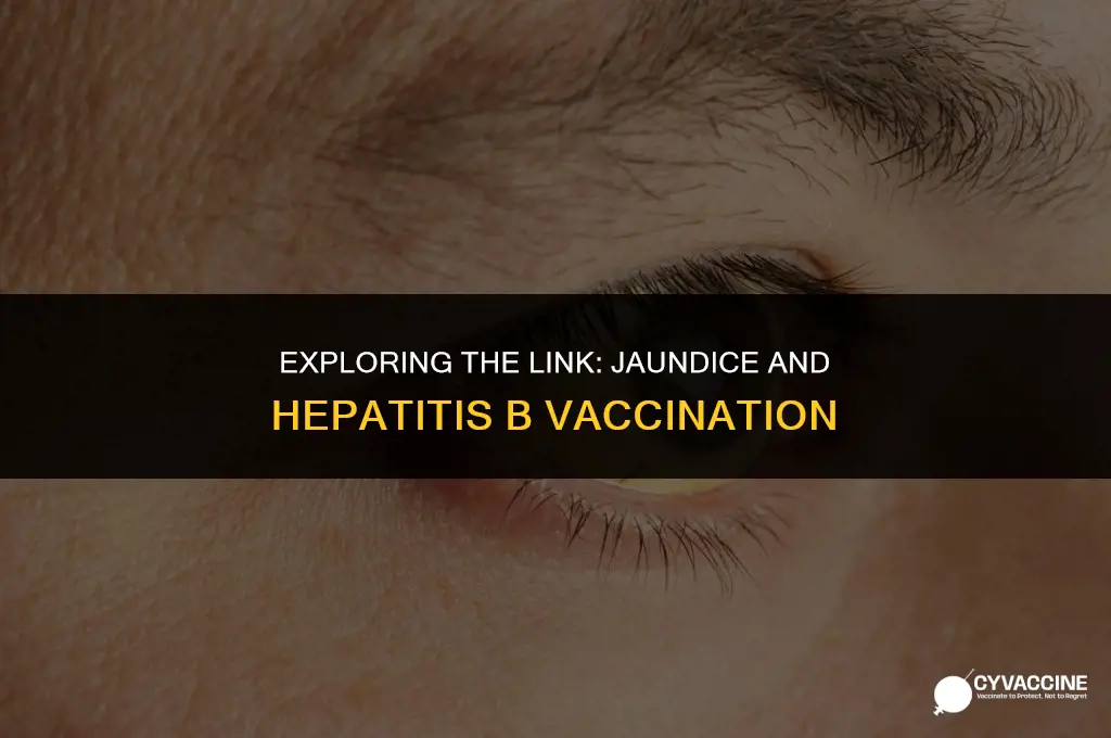 is jaundice from hep b vaccine
