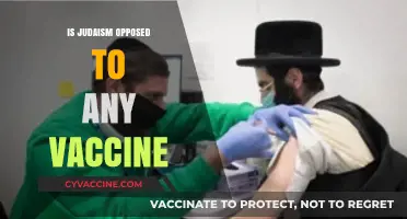 Exploring the Intersection of Judaism and Vaccine Hesitancy