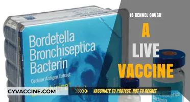 Understanding Kennel Cough: The Facts About Live Vaccines