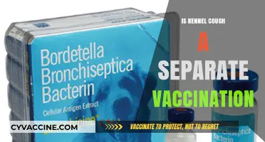 Understanding Kennel Cough: Is It a Separate Vaccination?