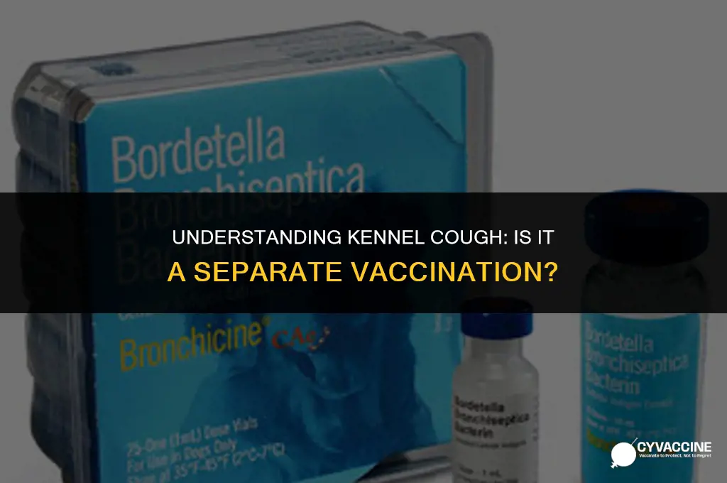 is kennel cough a separate vaccination