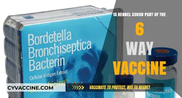 Kennel Cough and the 6-Way Vaccine: What's Included?