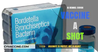 Protecting Your Pup: The Essential Guide to Kennel Cough Vaccination