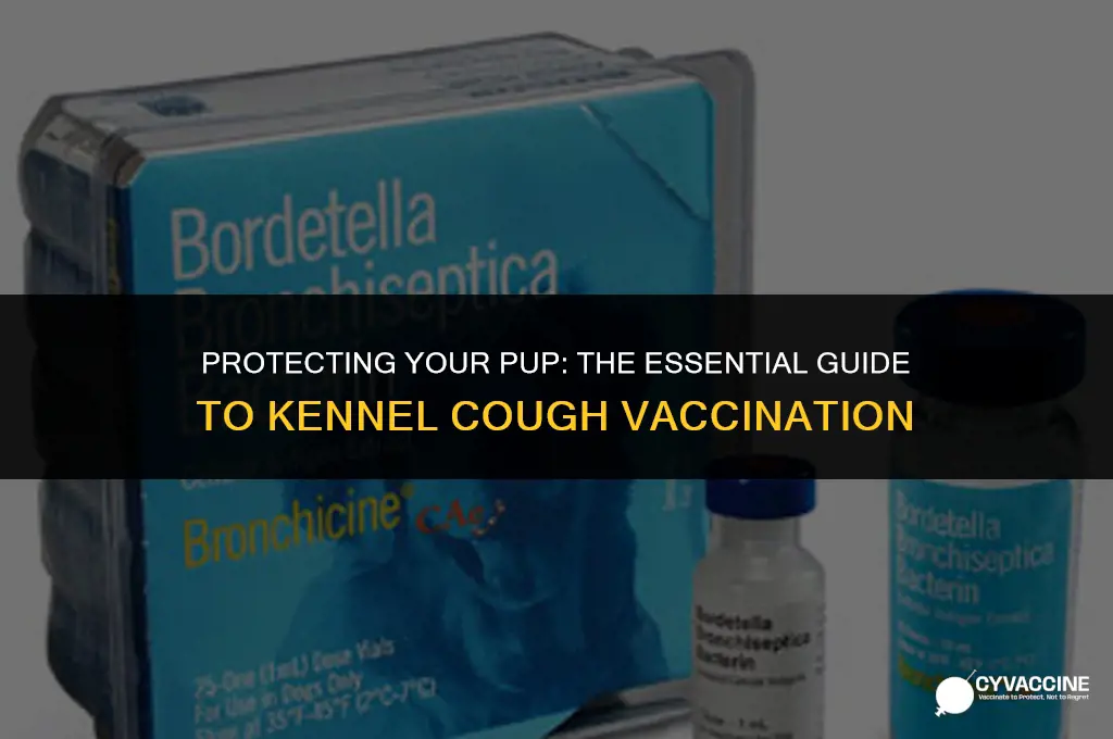 is kennel cough vaccine a shot