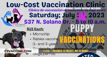 Is Kennel Cough Vaccine Part of Puppy Vaccinations?