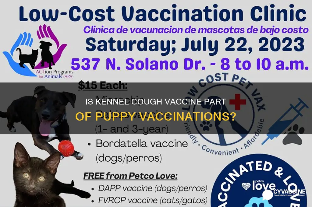 is kennel cough vaccine included in puppy vaccinations