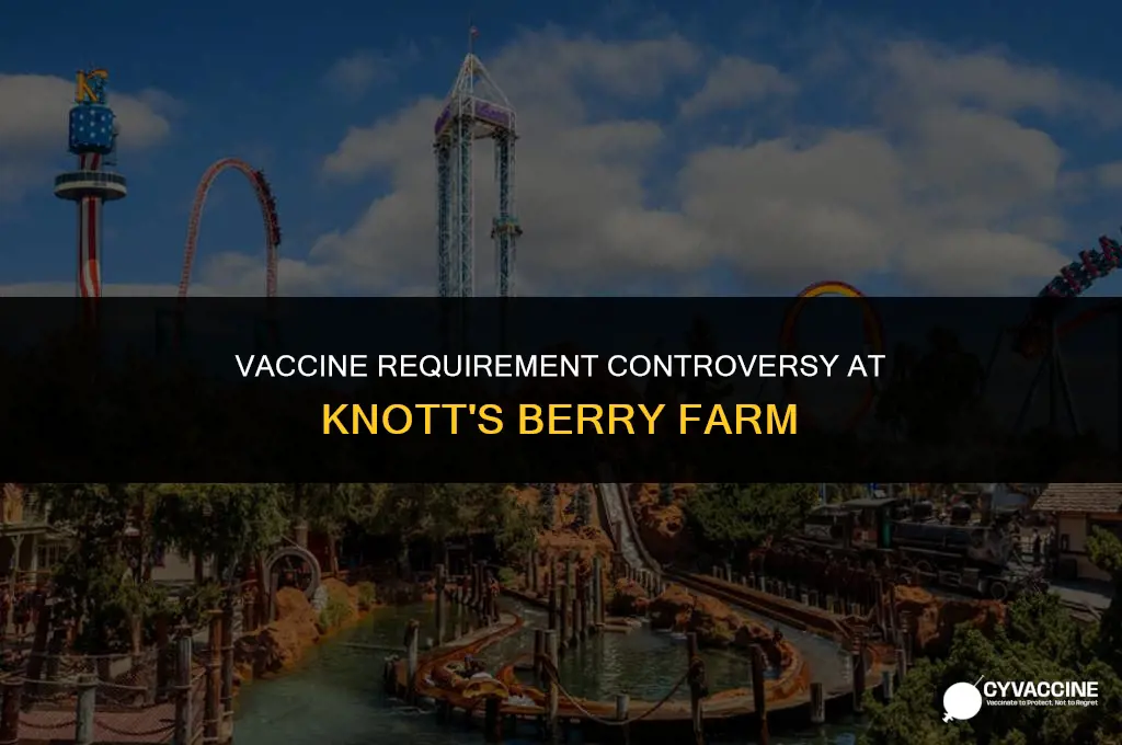 is knott