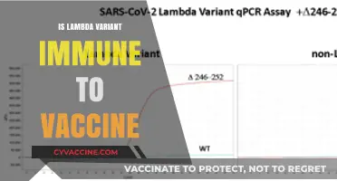 Unraveling the Mystery: Lambda Variant and Vaccine Immunity