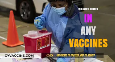 Exploring Vaccine Ingredients: The Truth About Latex Rubber
