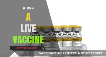 Understanding Lepto 4: The Facts About Live Vaccination
