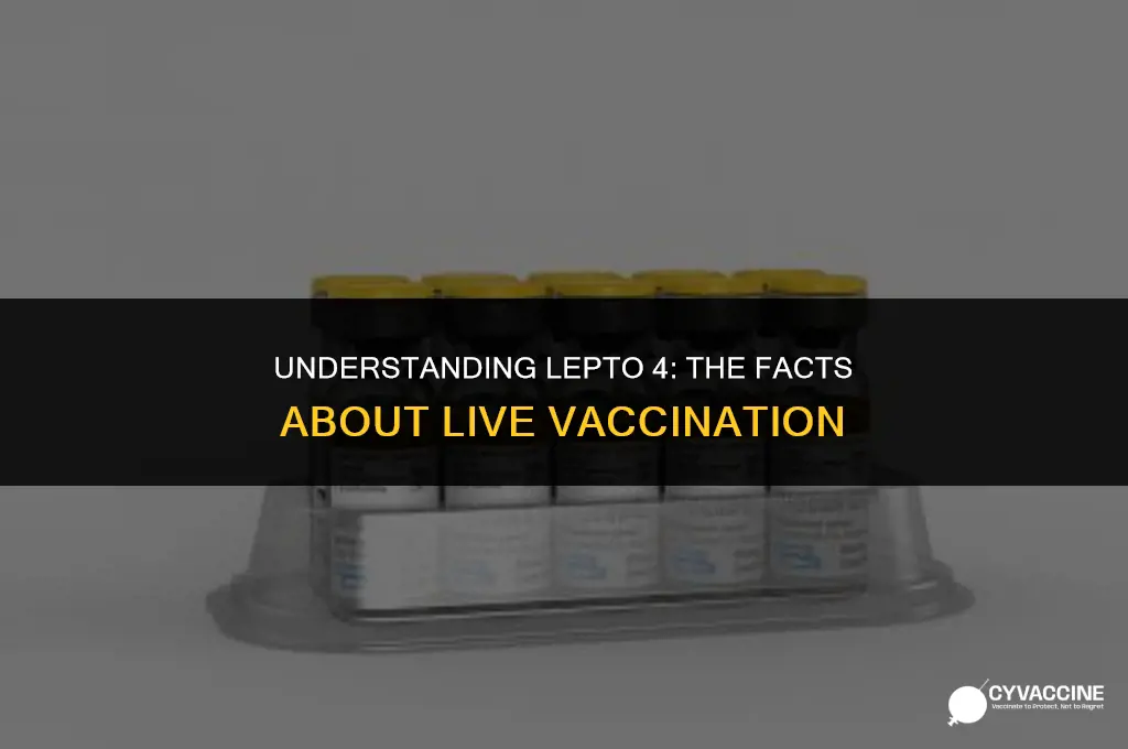 is lepto 4 a live vaccine