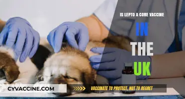 Is Lepto a Core Vaccine in the UK? Essential Insights