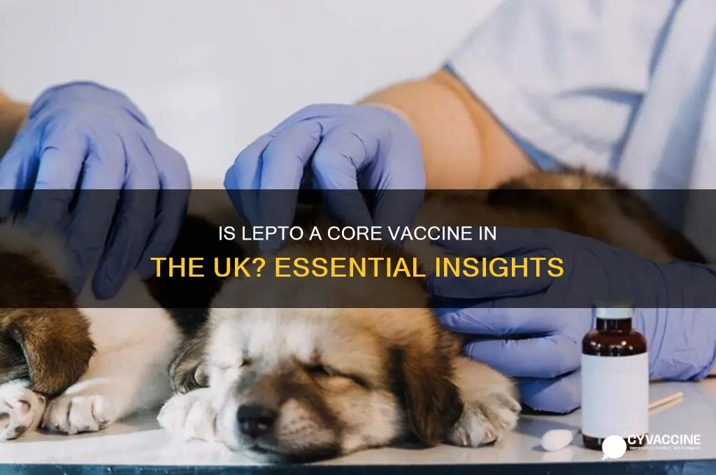 is lepto a core vaccine in the uk