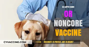 Decoding Lepto Vaccines: Core or Non-Core for Optimal Protection?